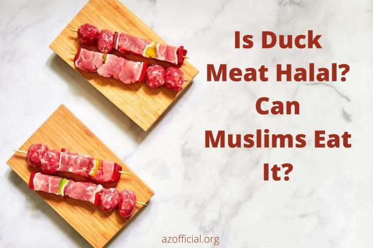 Is Duck Meat Halal Can Muslims Eat It