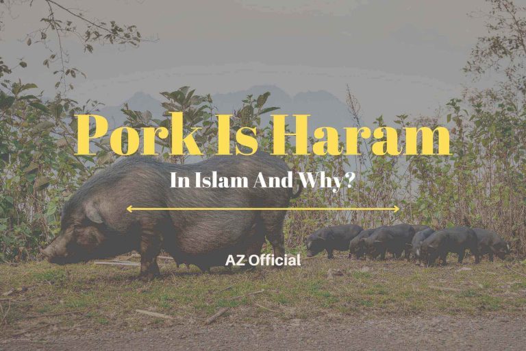 Pork Is Haram In Islam And Why