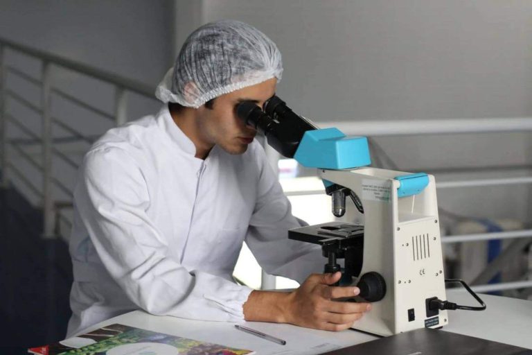 Considering The Quran A Shortcut To Science