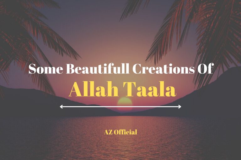 Some Beautifull Creations Of Allah Taala