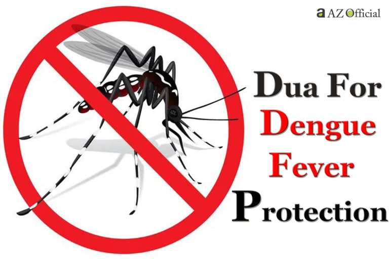 Dengue fever dua guide with a mosquito warning symbol