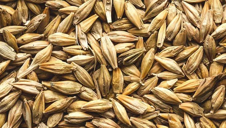 Best Foods For Weight Loss According To Science