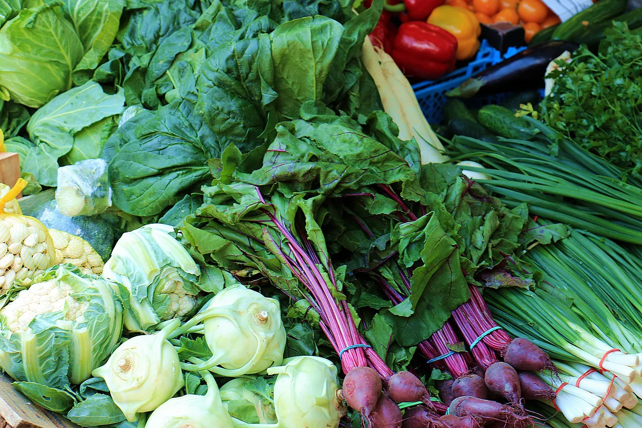 Foods that contain High In Fiber jpg
