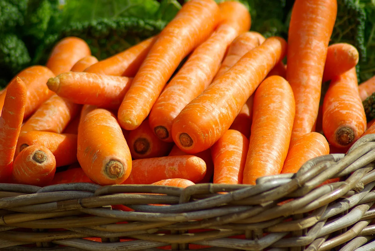 carrots jpg