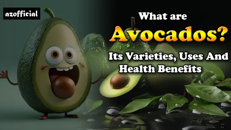 What are Avocados Its Varieties, Uses And Health Benefits